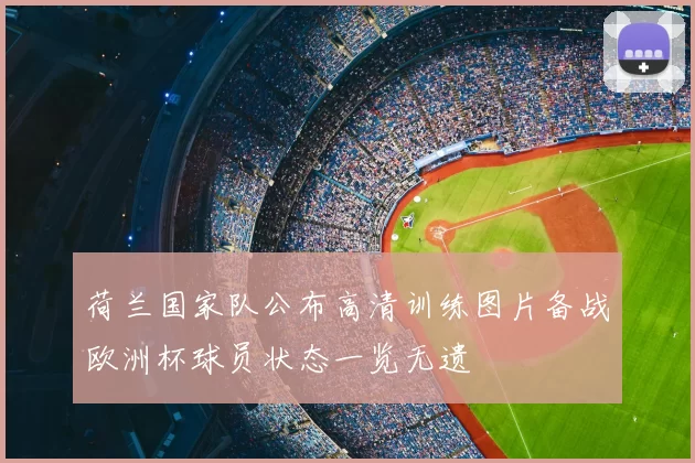 荷兰国家队公布高清训练图片备战欧洲杯球员状态一览无遗