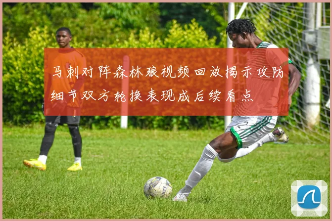 马刺对阵森林狼视频回放揭示攻防细节双方轮换表现成后续看点