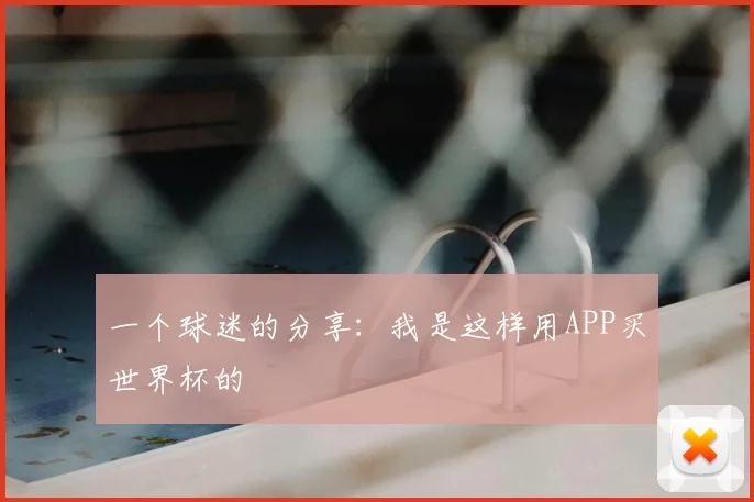 一个球迷的分享：我是这样用APP买世界杯的
