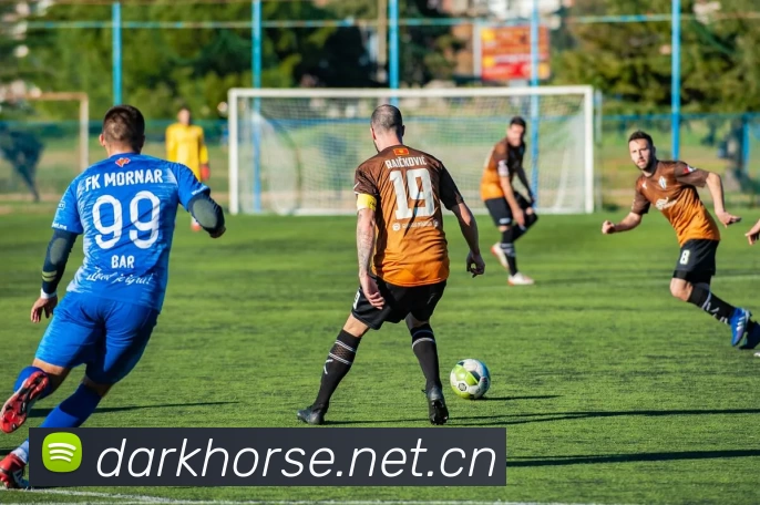 滚球官网app服务体系